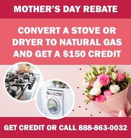 Mother's Day Appliance Conversion Promo